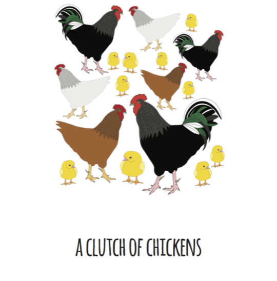 A Clutch of Chickens Art Print