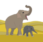 A-Z Indian Elephant Art Print