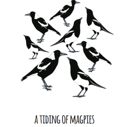 A Tiding of Magpies Art Print