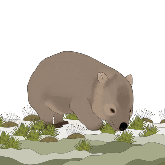 A-Z Australian Animals Wombat Art Print