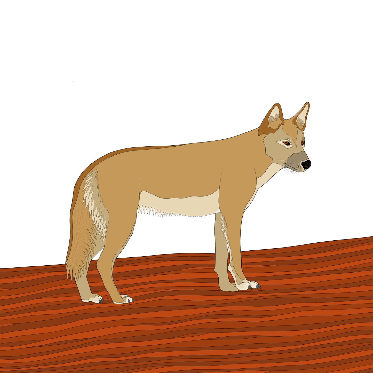 A-Z Australian Animals Dingo Art Print