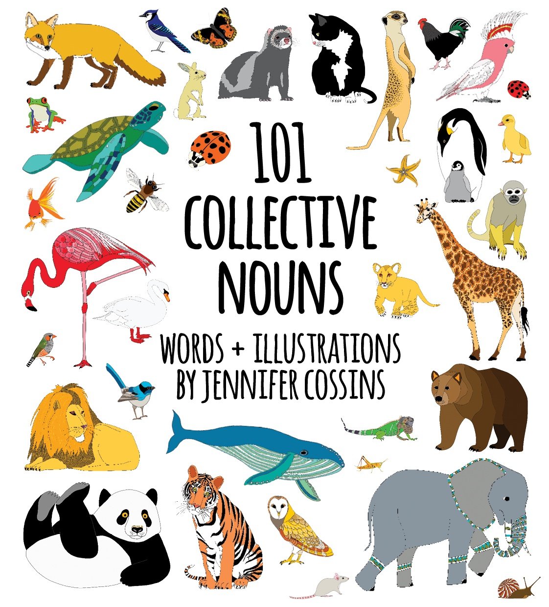 101 Collective Nouns Book - Jennifer Cossins
