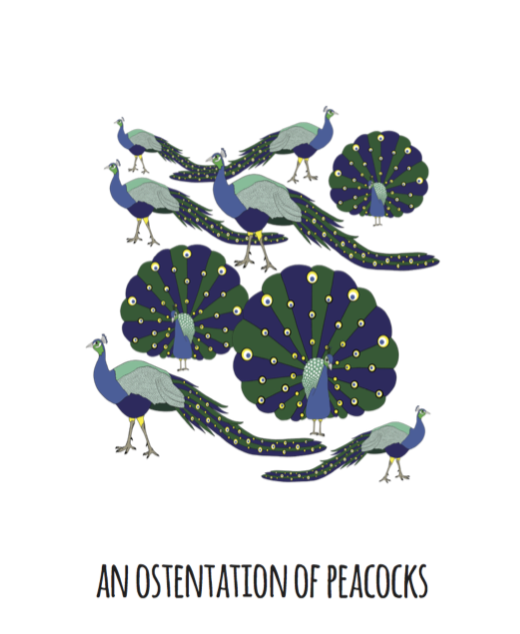 An Ostentation of Peacocks Art Print