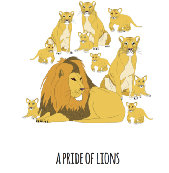 A Pride of Lions Art Print