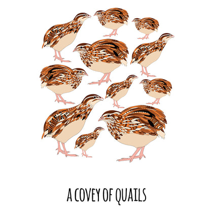 A Covey of Quails Art Print