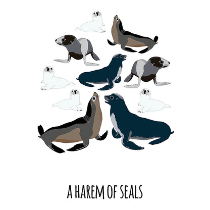 A Harem of Seals Art Print