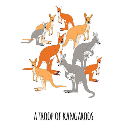 A Troop of Kangaroos Art Print