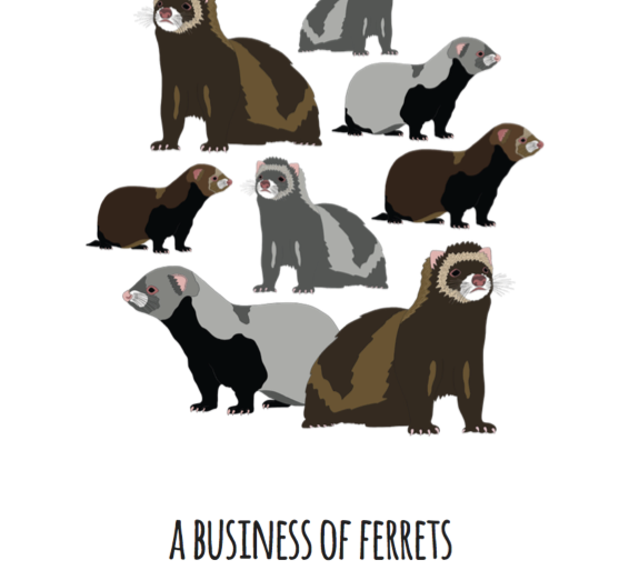 A Business of Ferrets Art Print