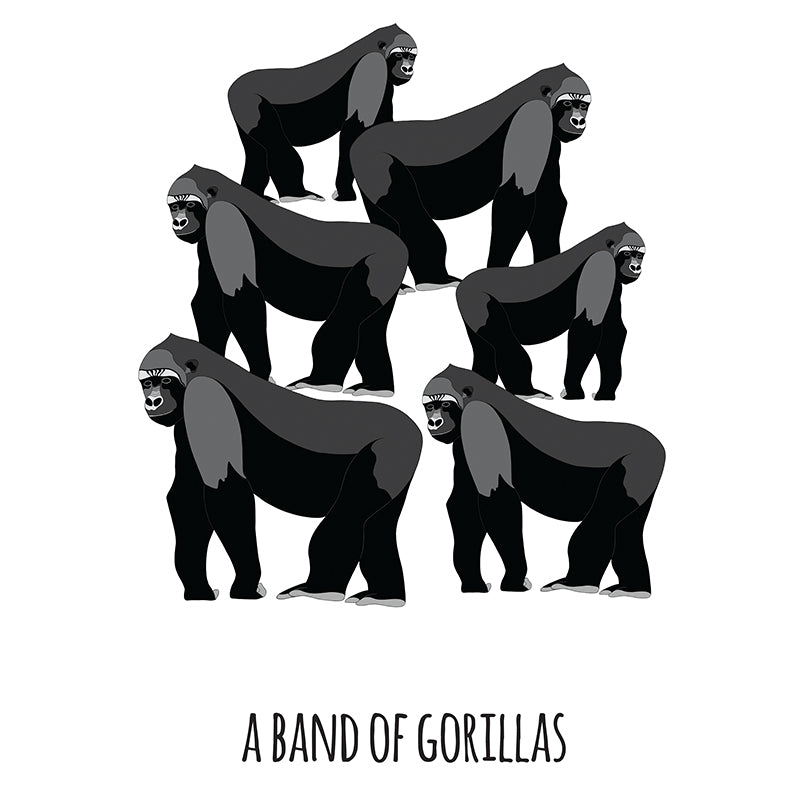 A Band of Gorillas Art Print