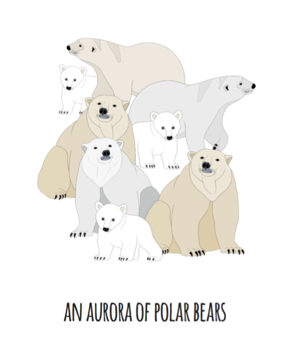 An Aurora of Polar Bears Art Print