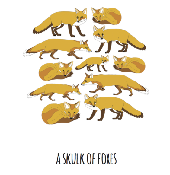 A Skulk of Foxes Art Print