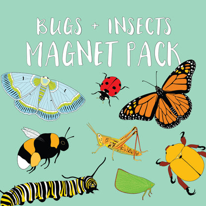 Bugs & Insects Magnet Pack