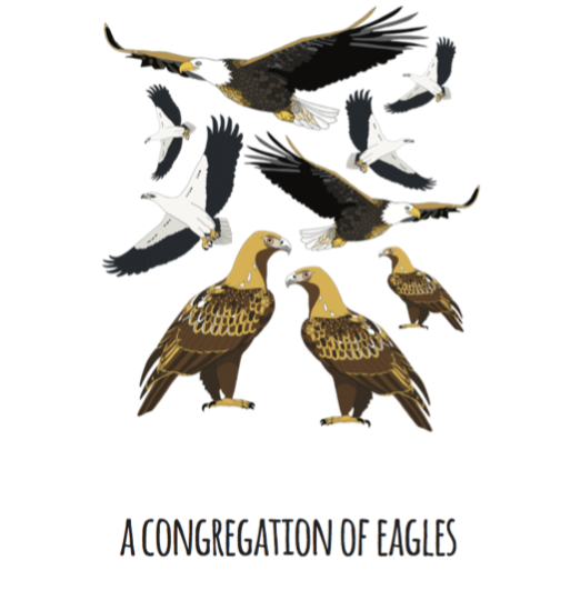 A Congregation of Eagles Art Print