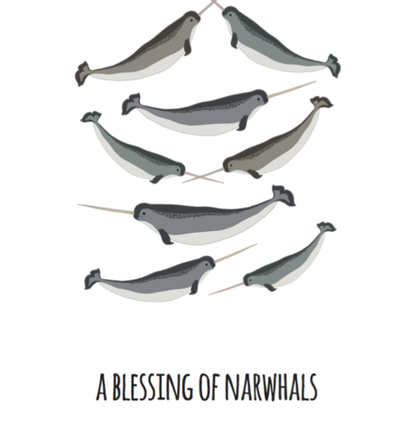 A Blessing of Narwhals Art Print