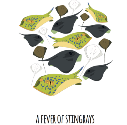 A Fever of Stingrays Art Print
