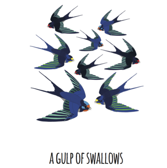 A Gulp of Swallows Art Print