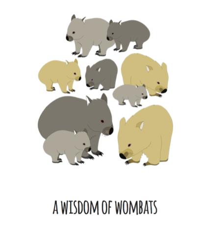 A Wisdom of Wombats Art Print