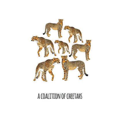 A Coalition of Cheetahs Art Print