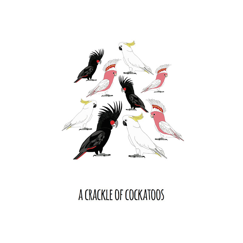 A Crackle of Cockatoos Art Print