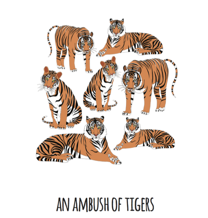 An Ambush of Tigers Art Print
