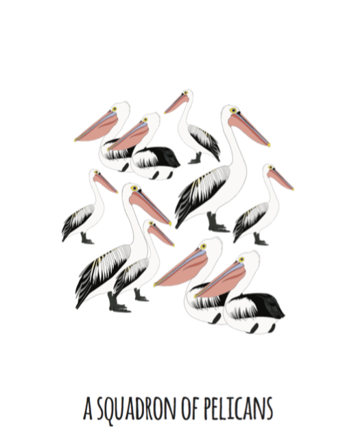 A Squadron of Pelicans Art Print