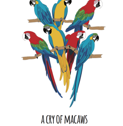 A Cry of Macaws Art Print