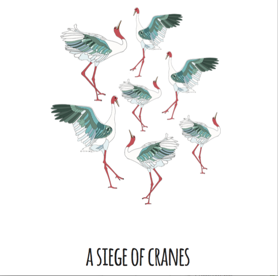 A Siege of Cranes Art Print