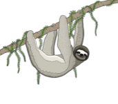 A-Z Pygmy Three-Toed Sloth Art Print