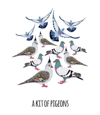 A Kit of Pigeons Art Print