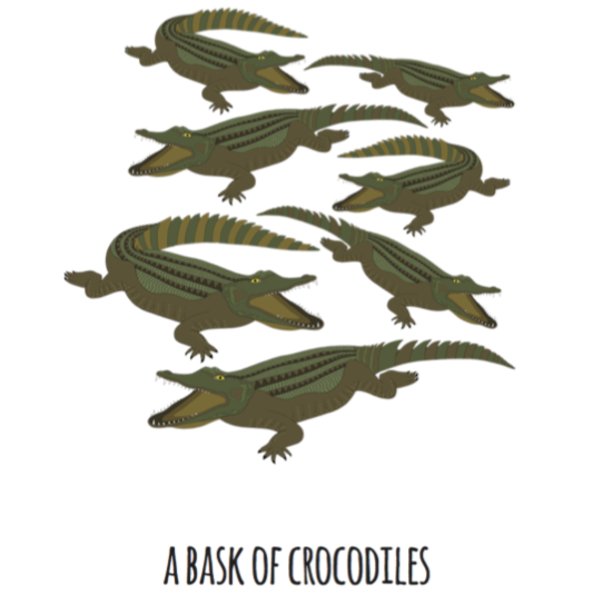 A Bask of Crocodiles Art Print