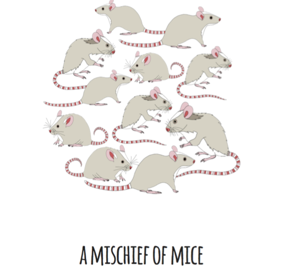 A Mischief of Mice Art Print