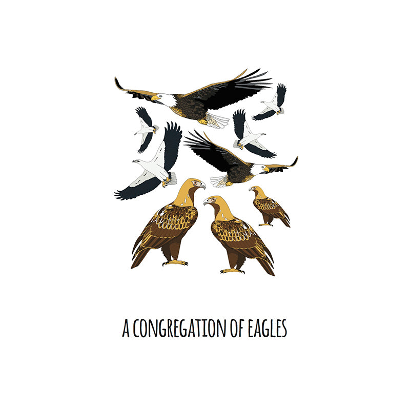 A Congregation of Eagles Art Print