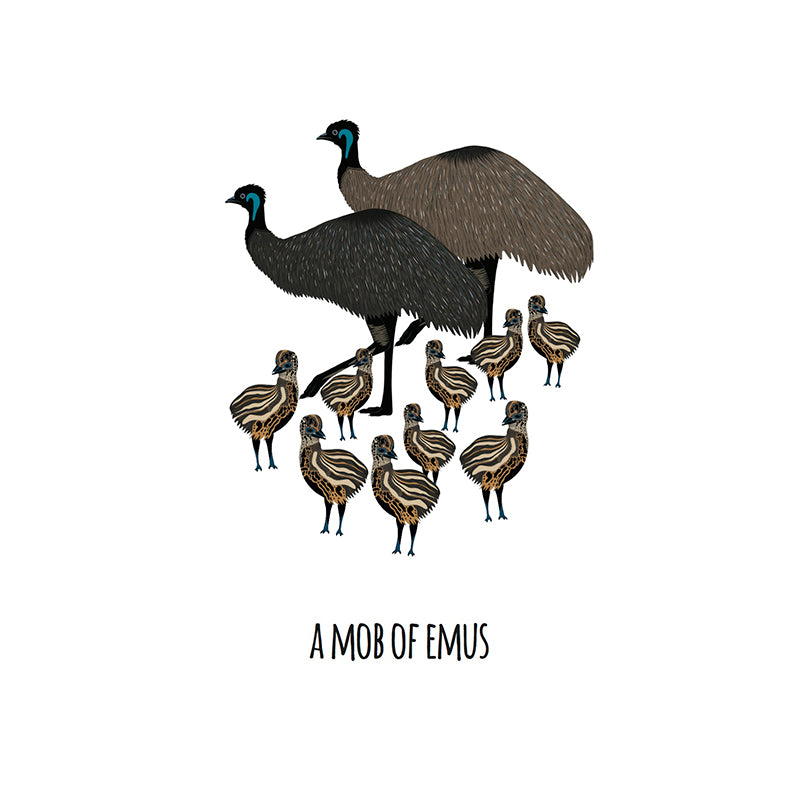 A Mob of Emus Art Print