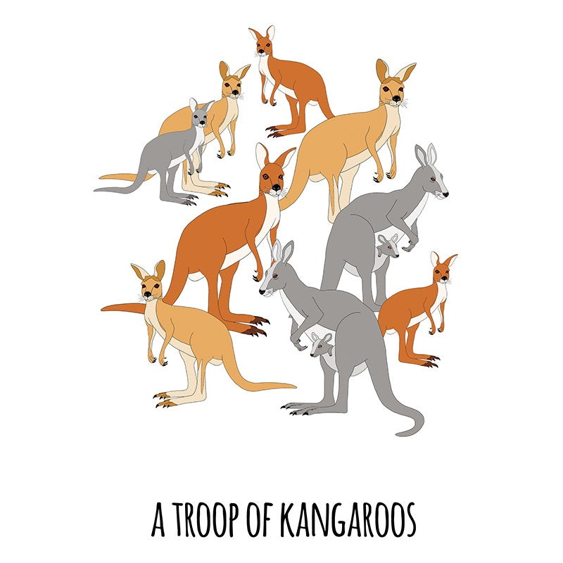 A Troop of Kangaroos Art Print