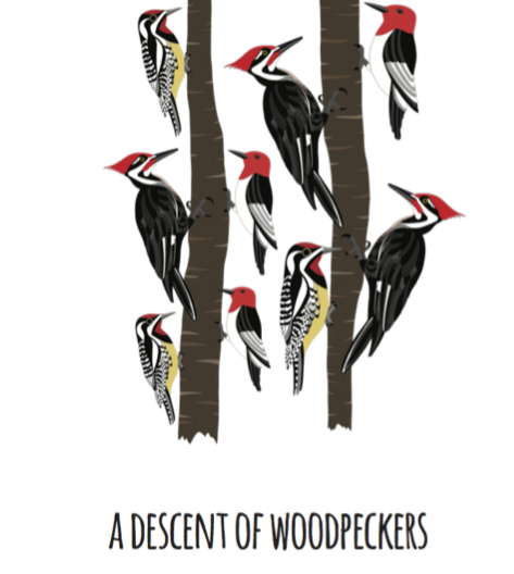 A Descent of Woodpeckers Art Print
