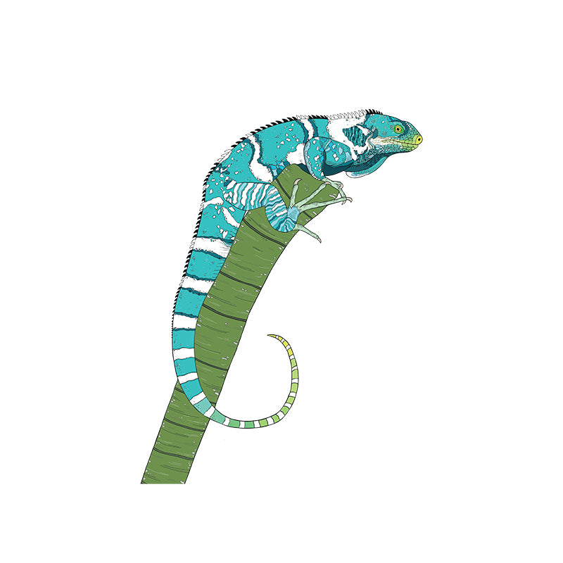 A-Z Fijian Iguana Art Print