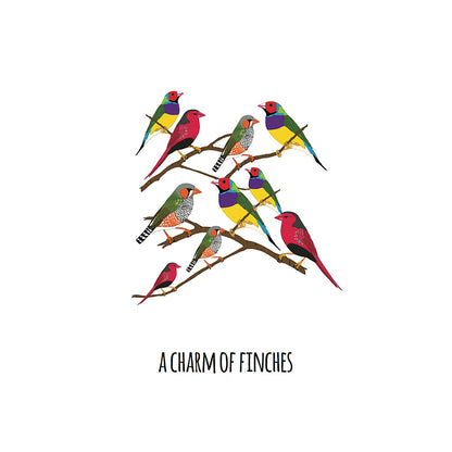A Charm of Finches Art Print