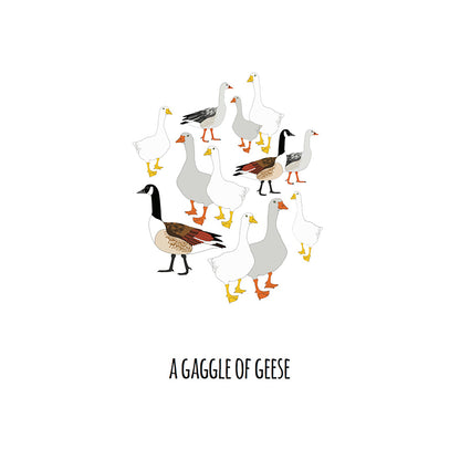 A Gaggle of Geese Art Print