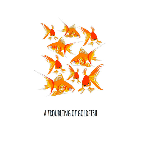 A Troubling of Goldfish Art Print