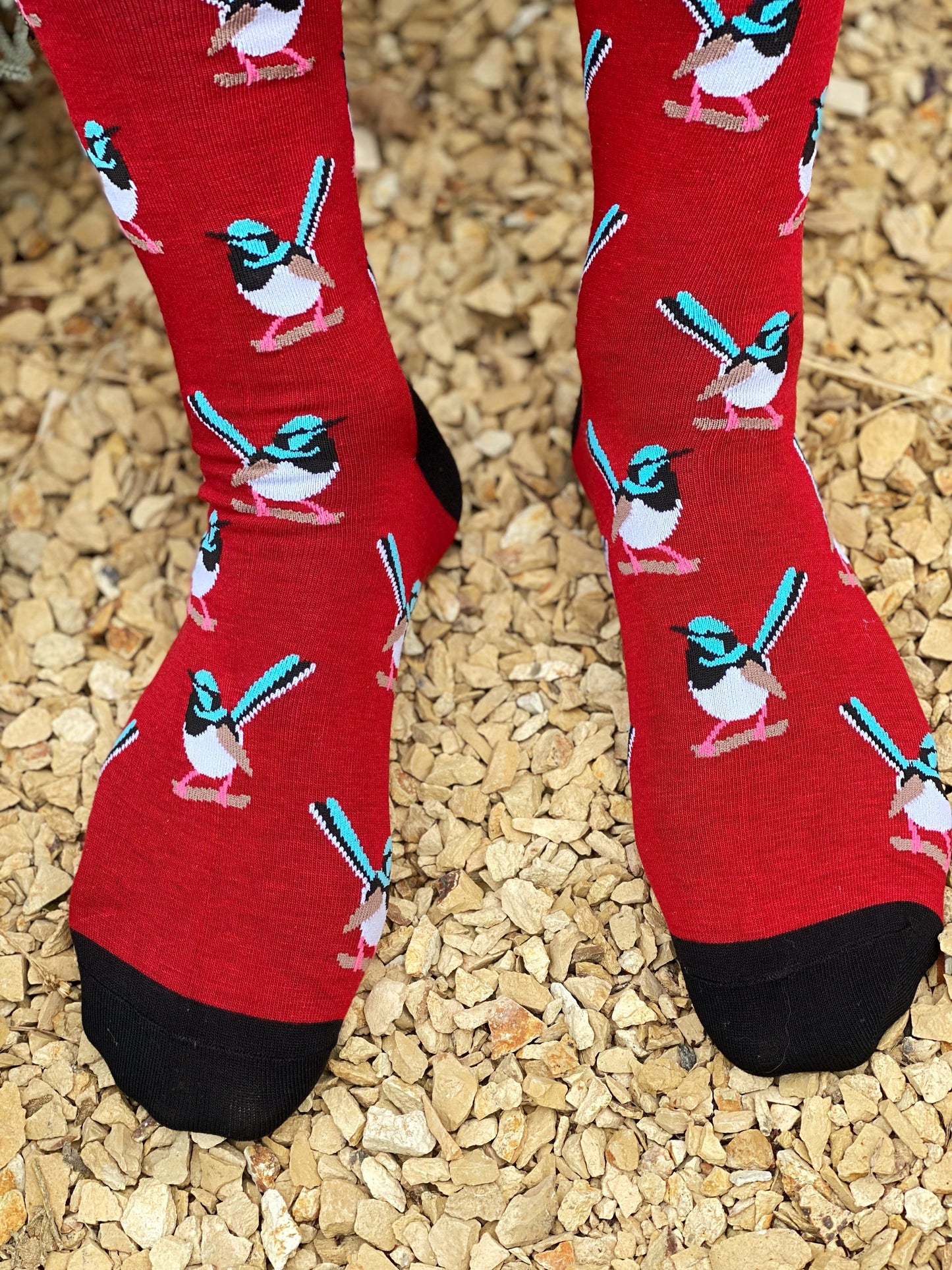 Fairy Wren Socks (Red)