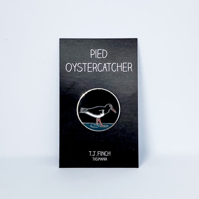 Pied Oystercatcher Pin