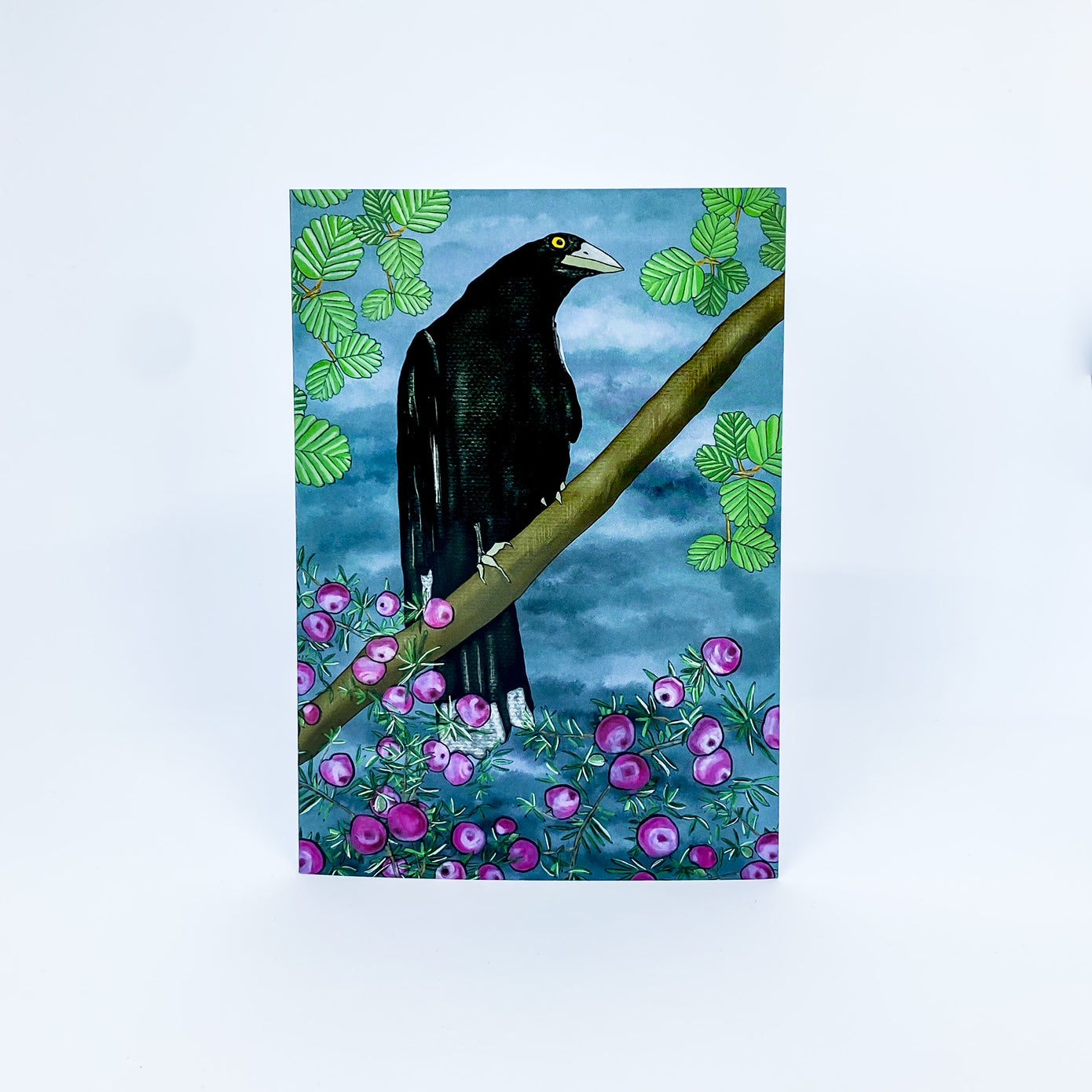 Pink Mountain Berries Currawong Card