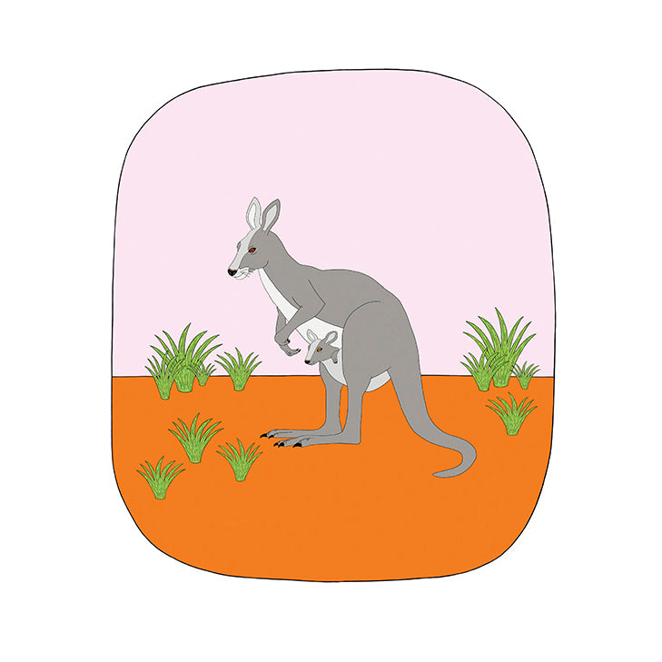 Baby Kangaroo Art Print