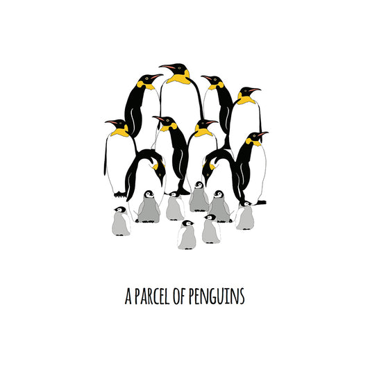 A Parcel of Penguins Art Print