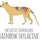 Rainbow Thylacine Tote Bag