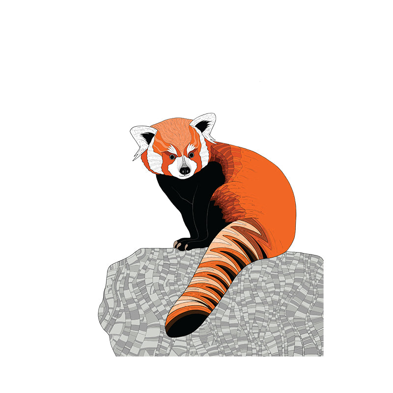 A-Z Red Panda Art Print