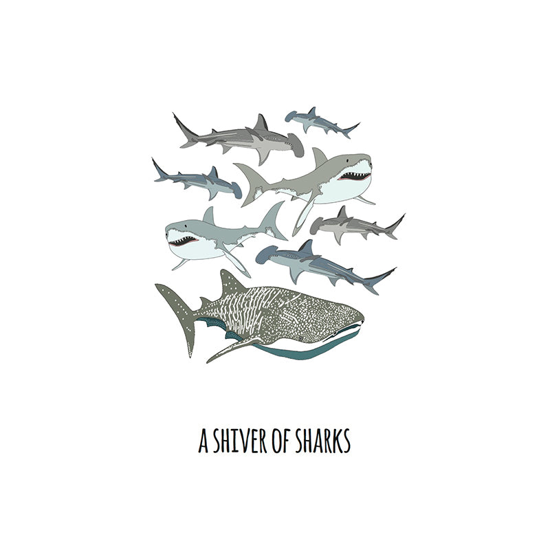 A Shiver of Sharks Art Print