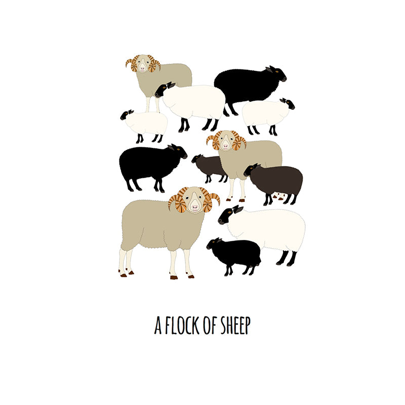 A Flock of Sheep Art Print