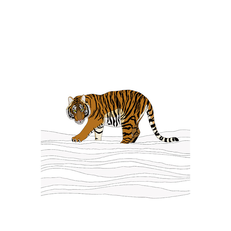 A-Z Amur Tiger Art Print
