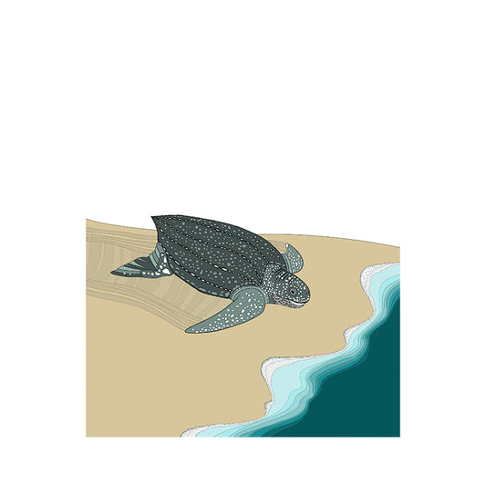 A-Z Leatherback Turtle Art Print